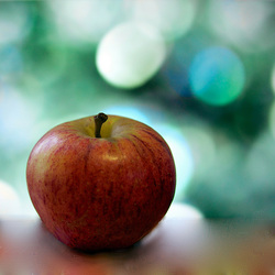 りんご Vs Apple 宮崎ゴールデンゲート英会話教室 宮崎市